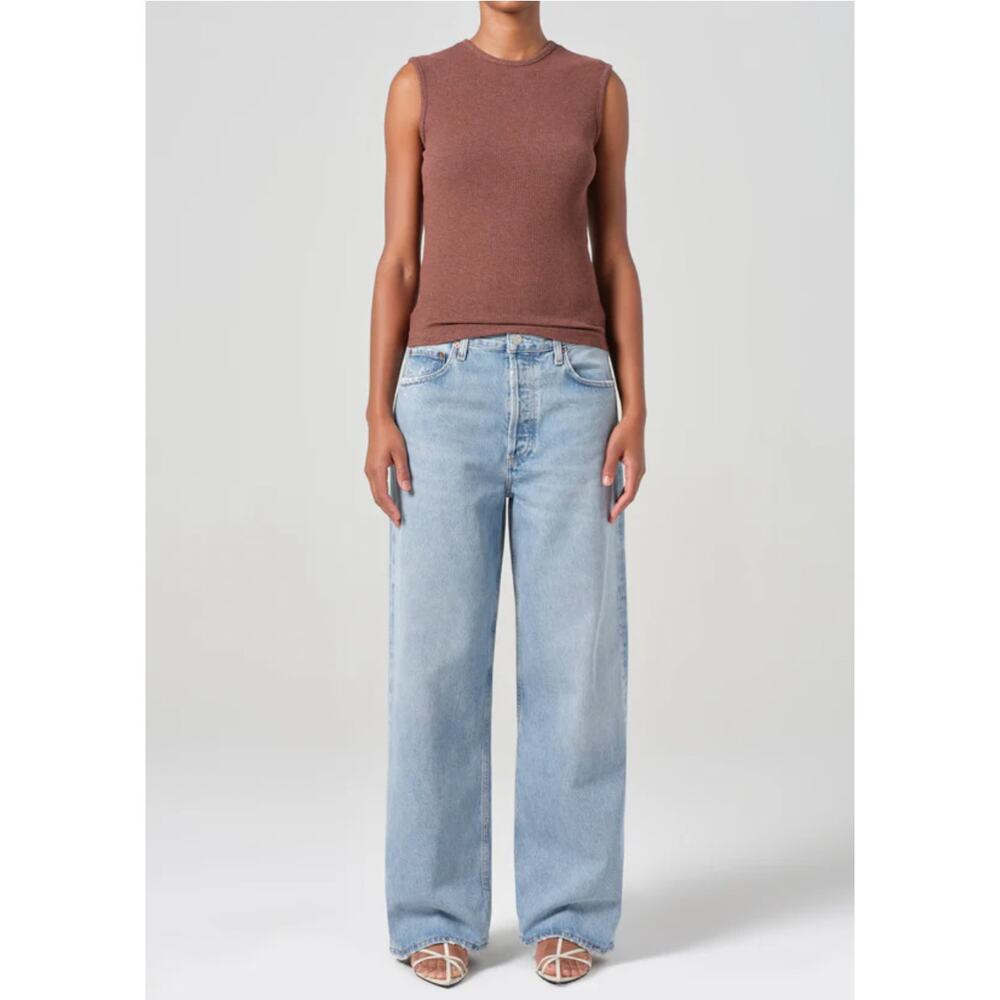 AGOLDE LOW SLUNG BAGGY 28" INSEAM IN FORCE